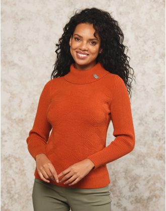 Pull fantaisie col roulé